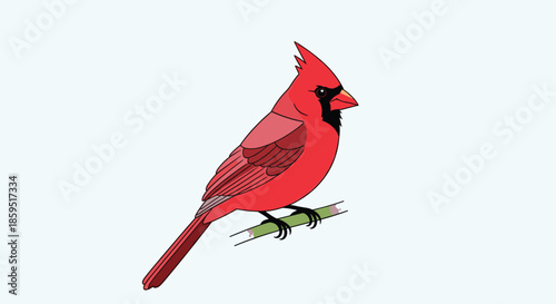 Bright red male cardinal bird perched gracefully on a green tree branch, shown in a clean and detailed vector illustration with black outlines.