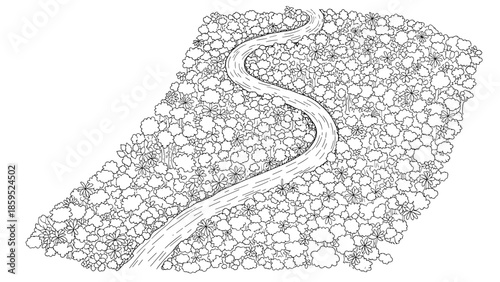 Black and white linear forest pathway in dense tree canopy