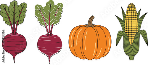 Flat vector illustration of autumn harvest vegetables including red beets, orange pumpkin, and yellow corn on cob, healthy organic food concept,