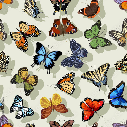 Multicolored tropical butterflies with shadow on a light background in a pattern.Colored background with multicolored butterflies and shadows in a seamless vector pattern.