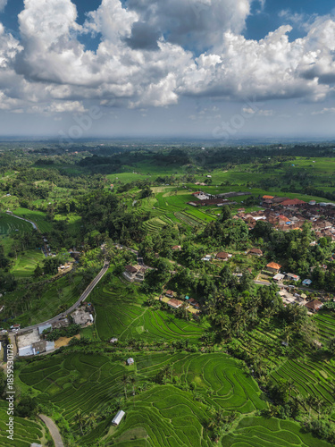 Aerial Drone View Terraced Rice Paddies, Lush Green Contours Cascading Across Jatiluwih Valley Under Bright