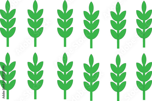 Set of twelve green organic wheat grain icons representing agriculture and growth isolated on a white background