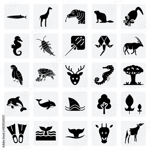 A Representation Of Earth'S Fauna – Whales, Deer, Vultures, And Stingrays For Environmental And Nature-Themed Media Presentations