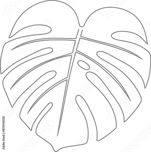 Minimalist line art drawing of a tropical monstera deliciosa leaf isolated on a white background