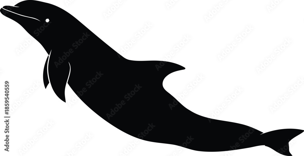 Obraz premium Black Dolphin Swimming on White Background
