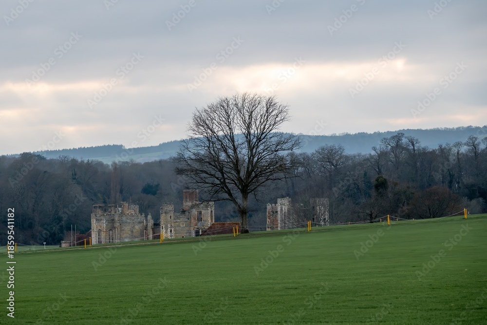 Obraz premium The Cowdray Heritage Ruins one of England's most important early Tudor Houses Midhurst West Sussex England