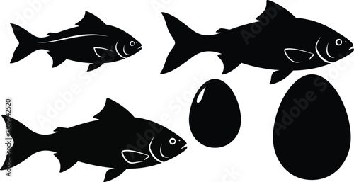 Set of Fresh Fish and Egg Silhouettes Minimalist Black Vector Icons of Seafood and Poultry Eggs for Food Industry and Nutrition Design eps desing pro