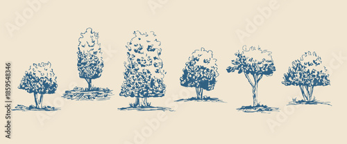 Sketch scribble collection of mediterranean forest trees and bushes. Hand-drawn botanical line art silhouettes. Blue ink nature illustrations for creative project. Vector tree doodle pencil shapes.