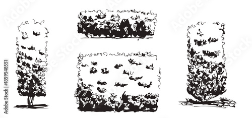 Hand-drawn tree sketches, black ink hedge. Simple doodle line topiary illustration set featuring plants and garden vegetation. Vector scribble naive brush stroke trees isolated on transparent bg.