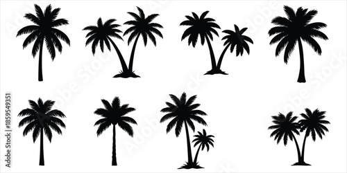Collection of black palm tree silhouettes on a white background Keywords: palm tree, silhouette, tropical, tree, nature, island