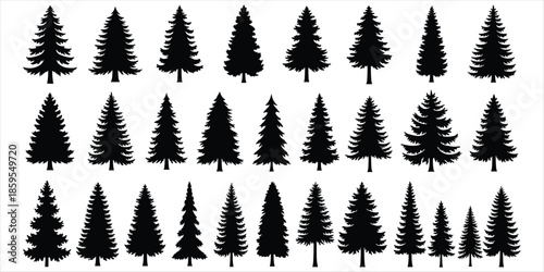 Collection of black pine tree silhouettes in various sizes and styles on a white background Keywords: pine tree, evergreen