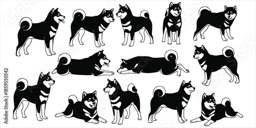 Diverse Poses of Black Silhouette Shiba Inu Dogs on White Background Keywords: Shiba Inu, dog, puppy, canine, pet, animal