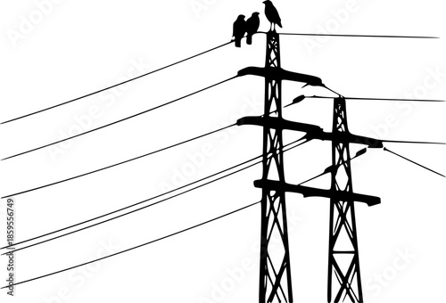 Flock of Birds Sitting on Electric Wires Illustration