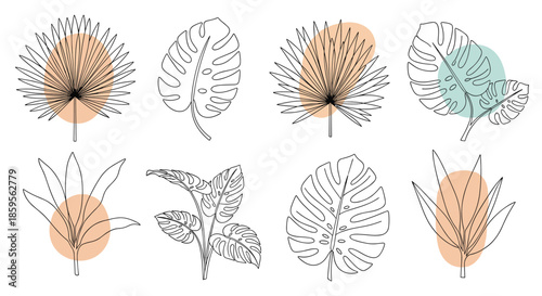 Selection of hand drawn tropical leaf sketches including monstera and palm fronds with soft colored shapes for a modern botanical design.