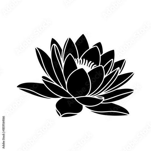 Black Silhouette of a Water Lily Flower in Full Bloom Against White Background