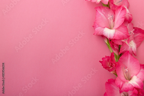 Foto Flat lay bouquet of pink gladiolus flowers on a vibrant pink background