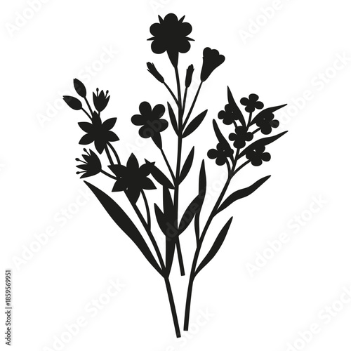 Wildflowers silhouette bouquet. Hand-drawn forget-me-not, gagea, inflorescence meadow flowers, herbs, and wild plants. Botanical elements for design projects. Minimal style, vector illustration