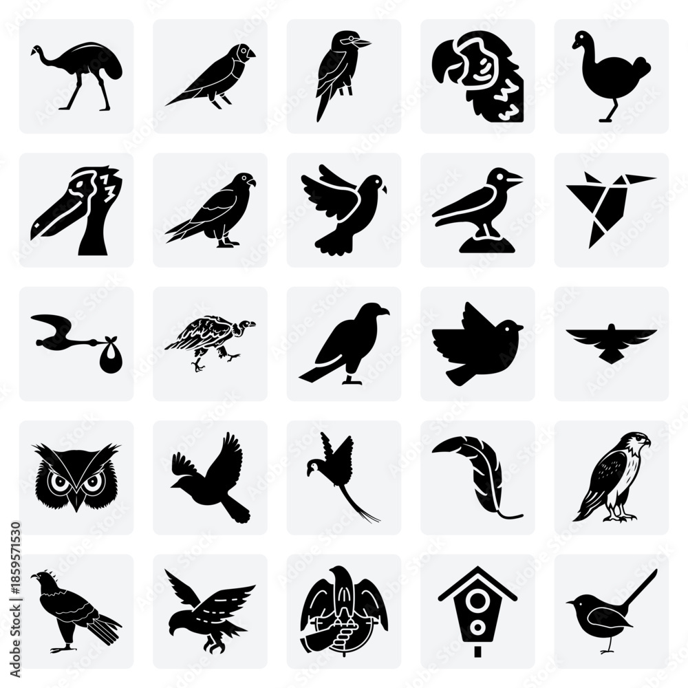Obraz premium Birds Of Prey, Songbirds, And Waterfowl – A Collection Of Different Bird Types For Nature And Zoology Illustrations