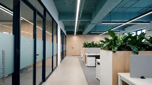 Modern office interior with frosted glass partitions, natural light, and indoor plants creating a contemporary workspace