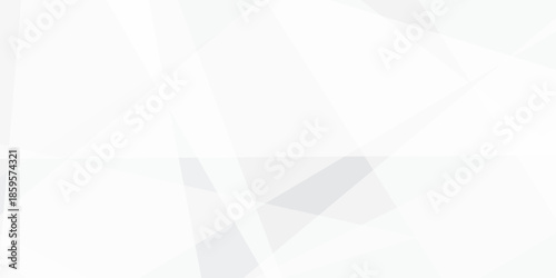 Abstract background with white and gray and geometric style with simple lines and corners, polygons as background geometric style with simple lines and corners, polygons as background paper texture