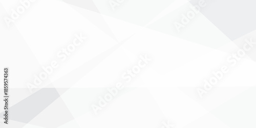 Abstract background with white and gray and geometric style with simple lines and corners, polygons as background geometric style with simple lines and corners, polygons as background paper texture