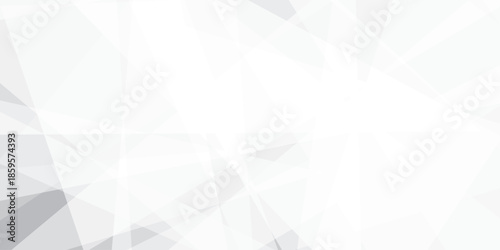 Abstract background with white and gray and geometric style with simple lines and corners, polygons as background geometric style with simple lines and corners, polygons as background paper texture