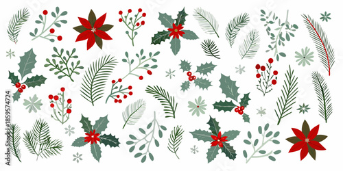 Festive christmas botanical collection holly poinsettia pine and berry illustrations