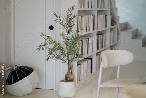 Modern Interior Design with Olive Tree and Shelves Filled with Books in a Bright and Minimalist Space