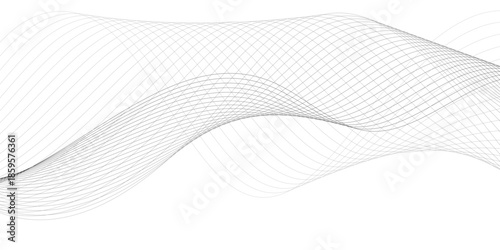 Abstract gray wave lines isolated on white background with flowing curved linear patterns, smooth parallel curves creating elegant motion, balance, and modern technology vector harmony
