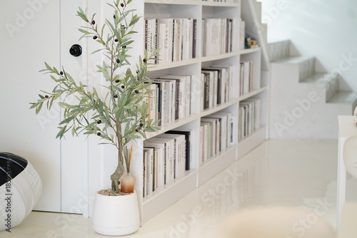 Elegant indoor scene featuring an olive tree plant beside a minimalist bookshelf filled with various books in a bright, modern living space