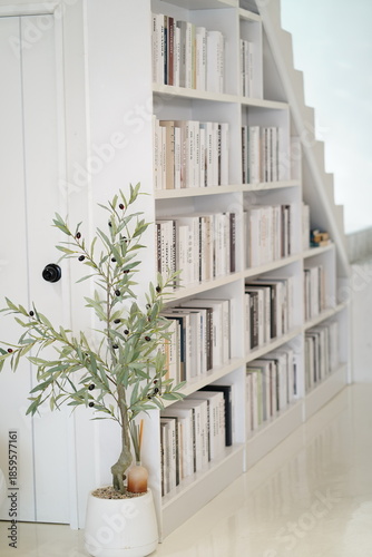 Cozy minimalist interior design featuring a modern bookshelf with neatly arranged books, a decorative olive plant, and a bright, airy atmosphere in a living space.