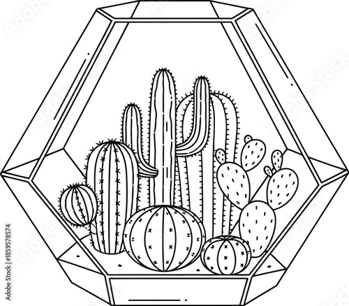 Minimalist line art illustration of various cacti and succulents growing inside a geometric glass terrarium container