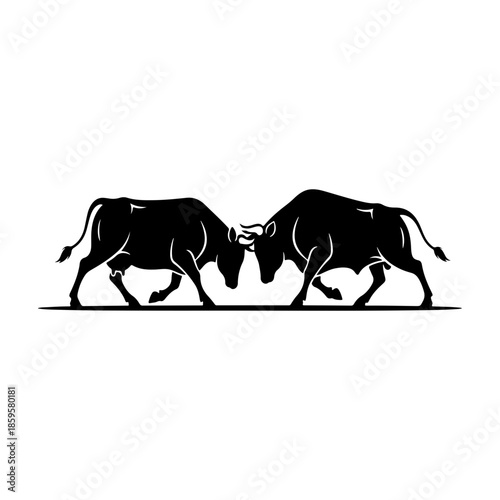 Two Silhouette Bulls Charging Head-on in a Dramatic Confrontation Scene