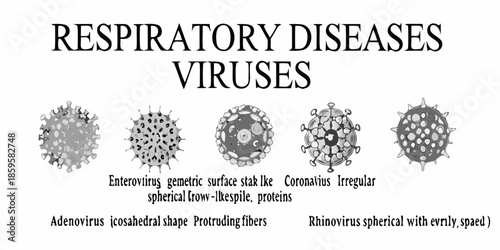 Visual representation of respiratory viruses and their distinct structural features