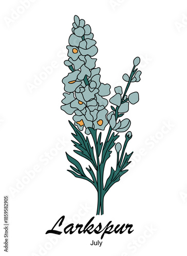 Modern botanical line illustration of a larkspur flower with teal stems, blue-gray blooms, and July label on transparent background.