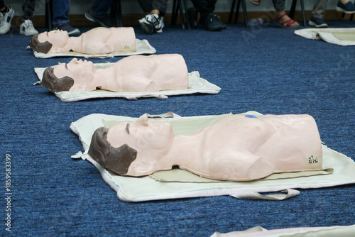 Rubber mannequins for demonstration of resuscitation, heart pumping
