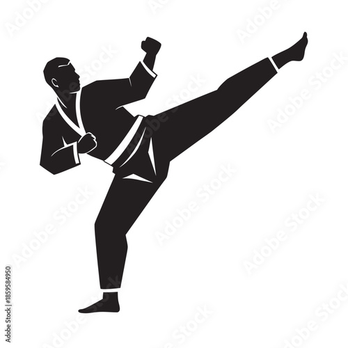 Karate Fighter Executing Side Kick Silhouette