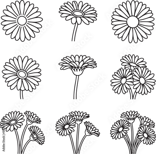 Daisy icons, gerbera flower, floral sketch, garden plant, spring blossom, botanical line art, meadow flower