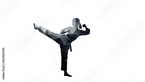 Geometric low poly martial arts silhouette with dynamic karate pose