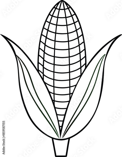 Corn outline vector illustration