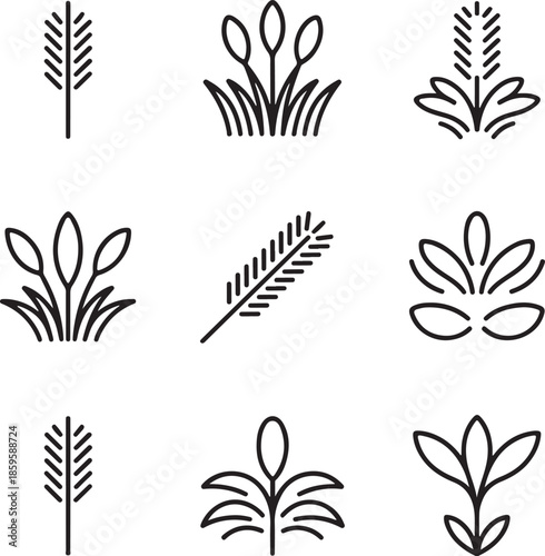 Wheat stalk icons, grain plant, leaf line art, agriculture harvest, nature cereal, organic flour, botanical sprout, farm crop