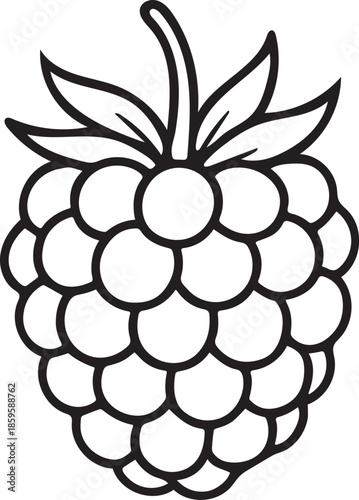 Raspberry outline vector icon