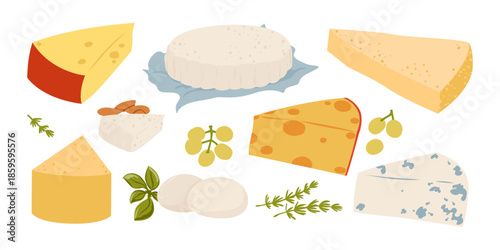 Collection cheese isolated on white background. Pieces of cheddar and gouda, brie, dorblue, camembert. Dairy food and breakfast nuts and fruit snacks. Vector illustration isolated on white.