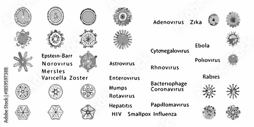 Illustrations of various viruses and their distinct structural morphologies
