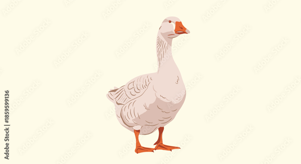 Obraz premium Detailed vector illustration of a domestic white goose standing tall against a light cream background in a flat and clean illustrative style.