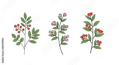 Collection of three hand-drawn branches featuring green leaves red berries and small pink flowers on a clean white background.