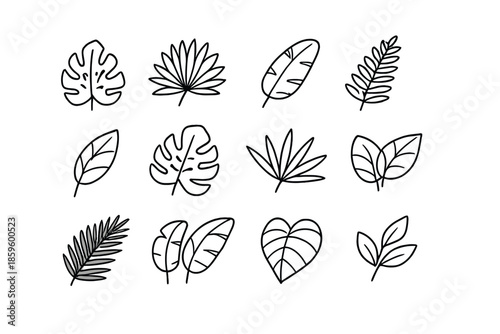 Tropical Leaves Line Art Collection