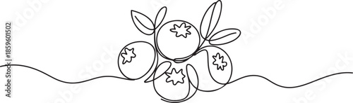 One single line drawing of whole healthy organic blueberries for orchard logo identity. Fresh blue berry fruitage concept for fruit garden icon. one line Icon drawing