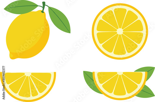 Fresh lemon fruit collection with whole and sliced citrus pieces isolated on white background flat vector illustration set