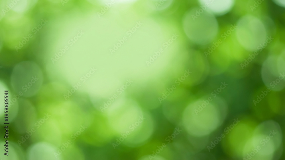 Obraz premium Blurry Green Natural Background Texture.